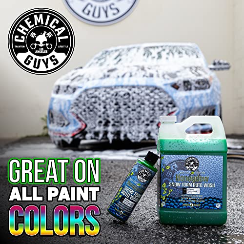 Chemical Guys CWS 110 16 Honeydew Snow Foam Car Wash Soap (Works with Foam Cannons, Foam Guns or Bucket Washes) Safe for Cars, Trucks, Motorcycles, RVs & More, 16 fl oz, Honeydew Scent