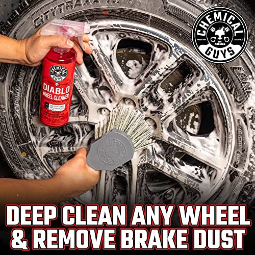 Chemical Guys HOL169 16-Piece Arsenal Builder Car Wash Kit with Foam Cannon, Bucket and (6) 16 oz Car Care Cleaning Chemicals, Gift for Car & Truck Lovers, Dads and DIYers (Works w/Pressure Washers)