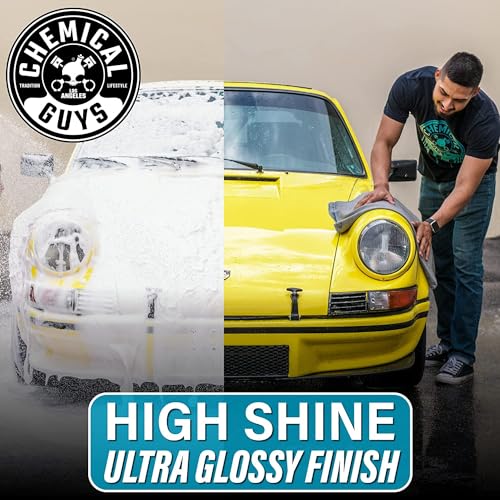 Chemical Guys CWS21216 HydroSuds Ceramic SiO2 Shine High Foaming Car Wash Soap (Works with Foam Cannons, Foam Guns or Bucket Washes) For Cars, Trucks, Motorcycles, RVs & More, 16 fl oz, Berry Scent